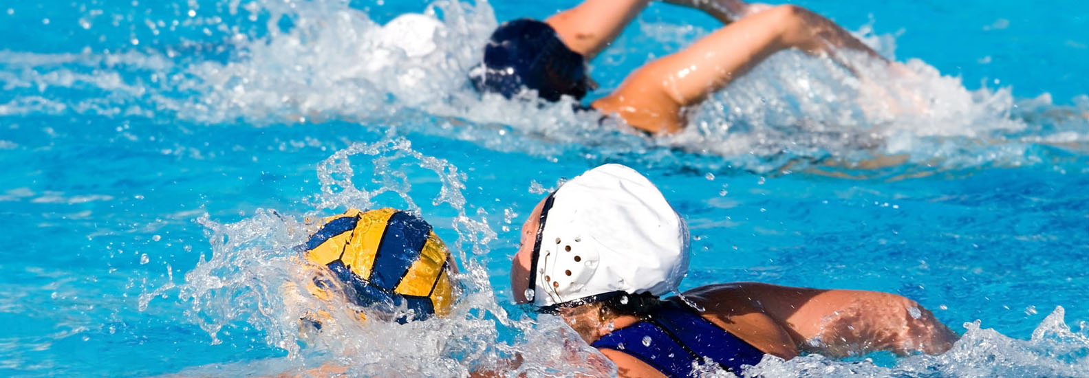 SP Swimming Academys